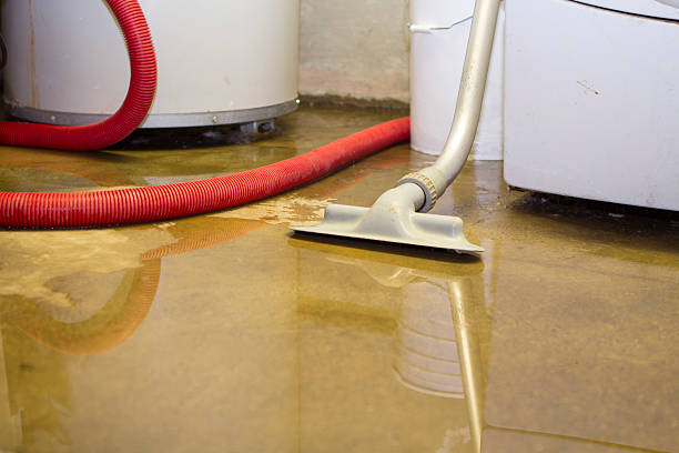 Best Water damage restoration near me  in Gladstone, OR