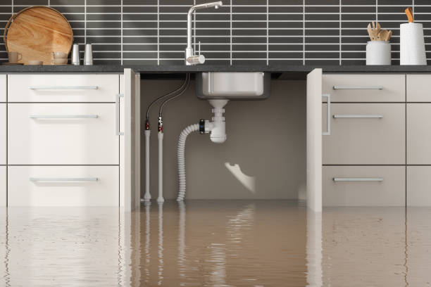 Best 24/7 water damage repair  in Gladstone, OR