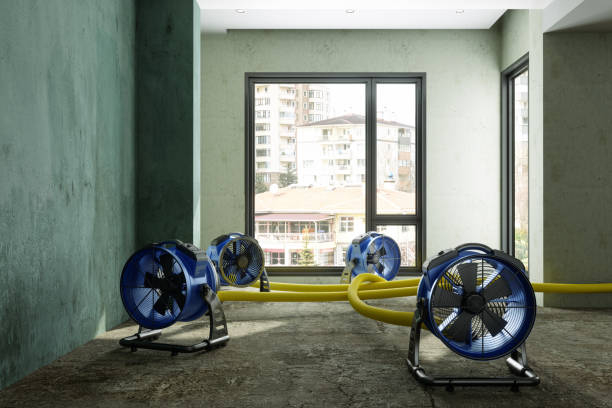 Best Emergency water damage restoration  in Gladstone, OR